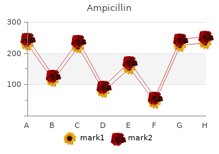 generic ampicillin 250mg on-line